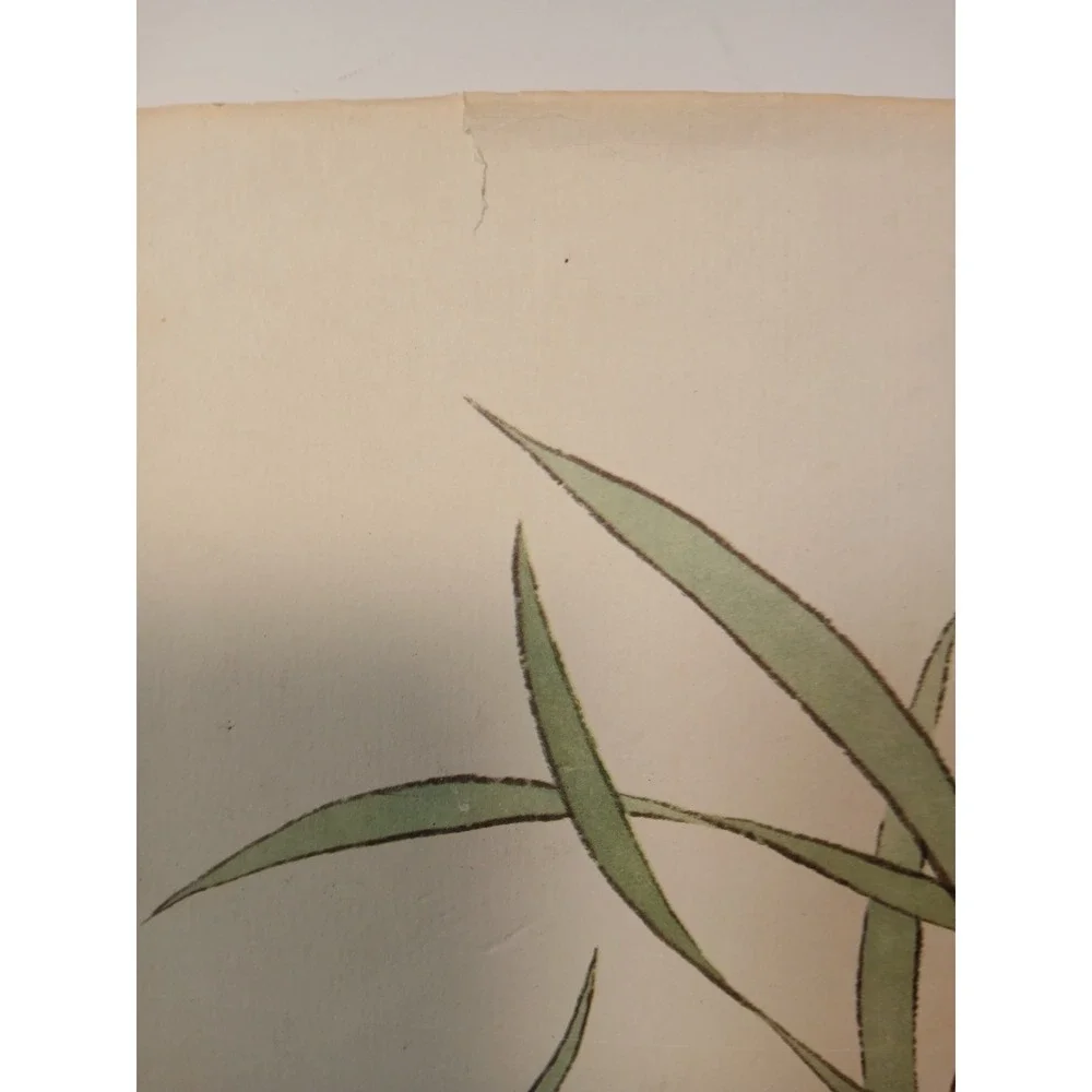 Chin Ling The Chinese‎ Cricket by Alison Stilwell - 1981